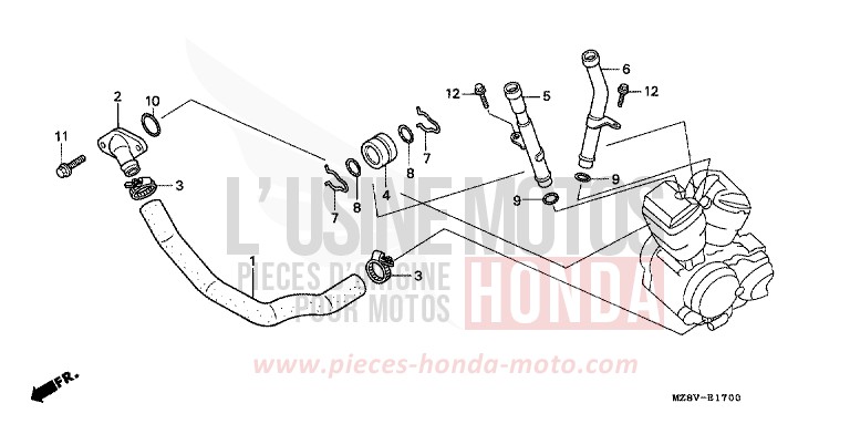 WATER PIPE for Shadow PEARL SIERRA GREEN (G156) from 1998