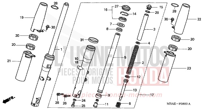 FRONT FORK for Shadow BLACK (NH1) from 2000