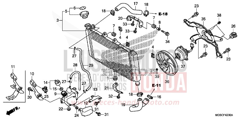RADIATOR for NC700D CANDY GRACEFUL RED-U (R151) from 2012