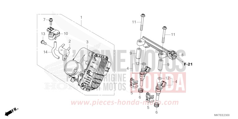 THROTTLE BODY for ADV750 MAT GOLDFINCH YELLOW (Y242) from 2025