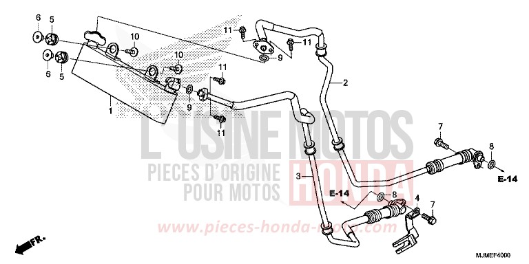 OIL COOLER for VFR800X PEARL GLARE WHITE (NHB53) from 2017
