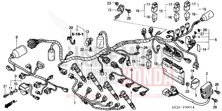 WIRE HARNESS (CBR900RR2,3) for Fireblade CANDY TAHITIAN BLUE (PB215) from 2003