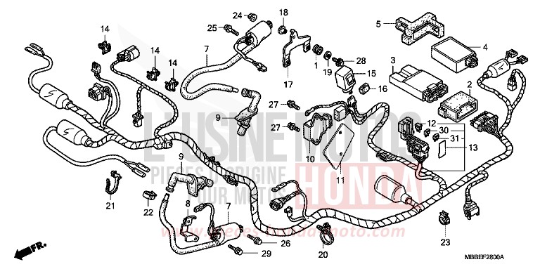 WIRE HARNESS for FireStorm GRAPHITE BLACK (NHB01) from 2006