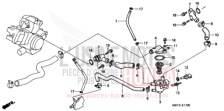 WATER PIPE for Varadero PEARL PRISM BLACK (NH418) from 2000