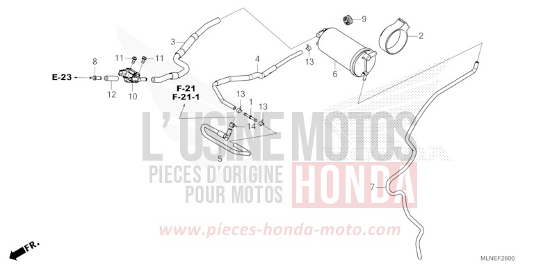 CANISTER for CRF1100D PEARL GLARE WHITE (NHB53) from 2025