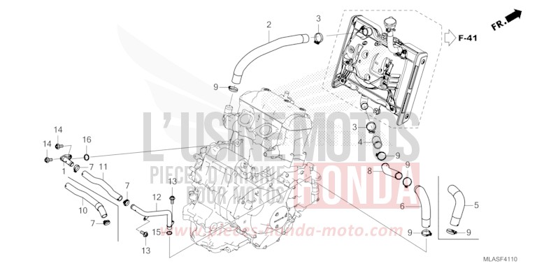 RADIATOR HOSE/WATER PIPE for CMX1100 FLARE ORANGE METALLIC (YR368) from 2025