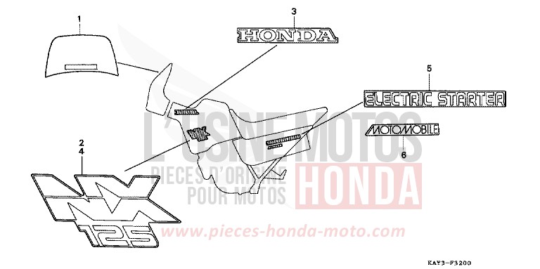 STRIPE (1) for Transcity NASHI (NASHI) from 1989