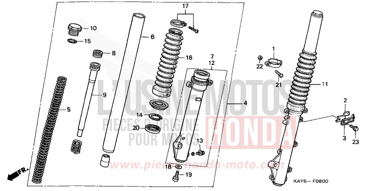 FRONT FORK for Transcity PEARL ATLANTIS BLUE (B142H) from 1995