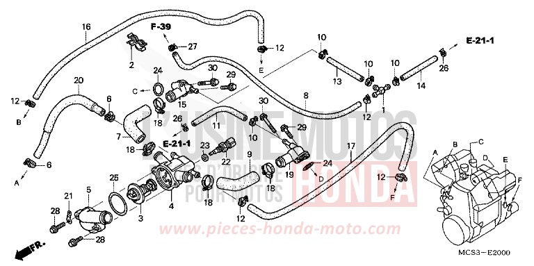 WATER PIPE for ST1300 SHASTA WHITE (NH138) from 2002
