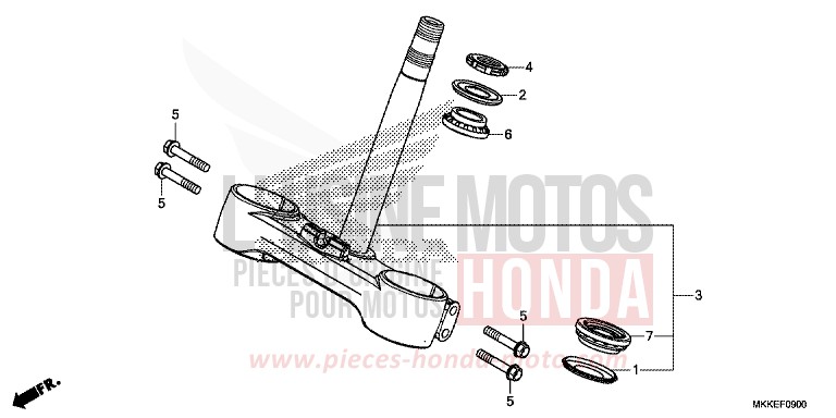 STEERING STEM for CRF1000 PEARL GLARE WHITE (NHB53HB) from 2019