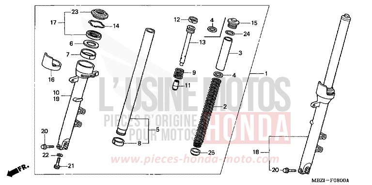FRONT FORK (CB600F2/F22/3/4) for Hornet PEARL COOL WHITE (NHA16) from 2004