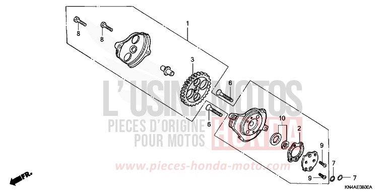 OIL PUMP for XR100R FIGHTING RED (R134) from 2003