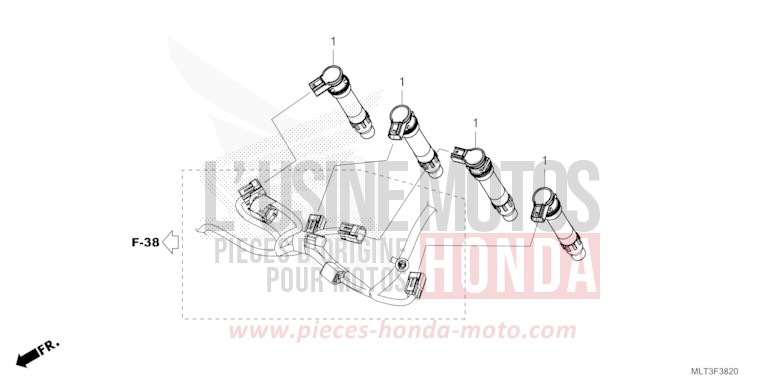 IGNITION COIL for CB1000GT GRAND PRIX RED (R380) from 2026