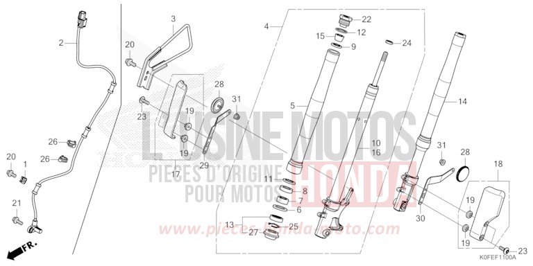 FRONT FORK for Monkey TURMERIC YELLOW (YR344) from 2025