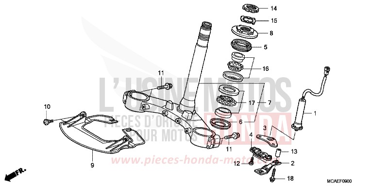 STEERING STEM for Goldwing MONTEREY BLUE METALLIC (B205) from 2009