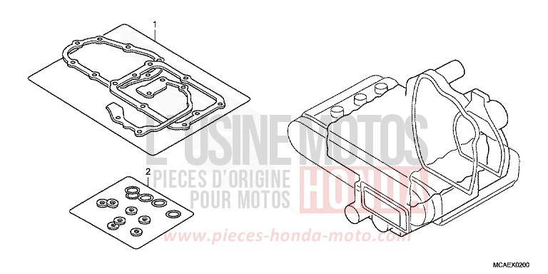 GETRIEBE for Goldwing PEWTERE SILVER METALLIC (NHA54) from 2009