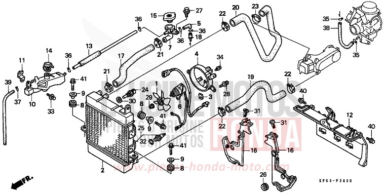 RADIATOR for Foresight CANDY EXTREME BLUE (P25) from 1998