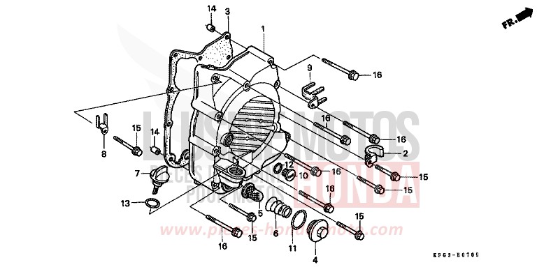 RIGHT CRANKCASE COVER for Foresight CANDY GLORY RED-U (R101) from 1998