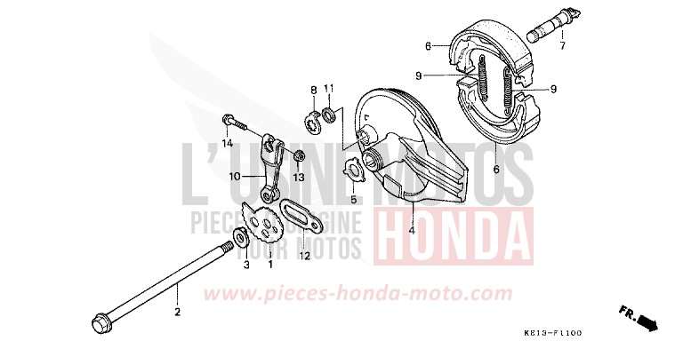 REAR BRAKE PANEL for MTX125R FLASH RED (R119) from 1987