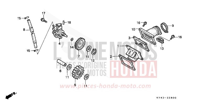 OIL PUMP for NSR125R REAL WHITE (NH250K) from 1989