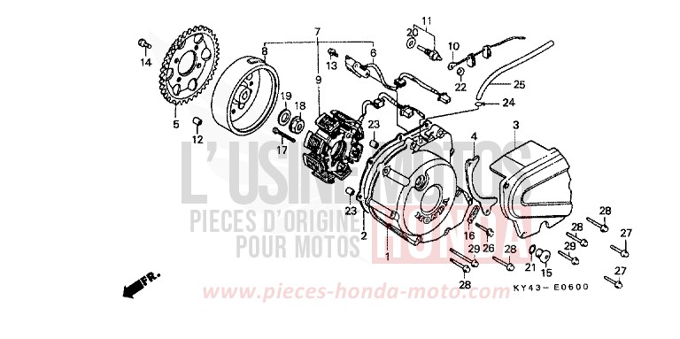 LEFT CRANKCASE COVER/ GENERATOR for NSR125R REAL WHITE (NH250K) from 1990
