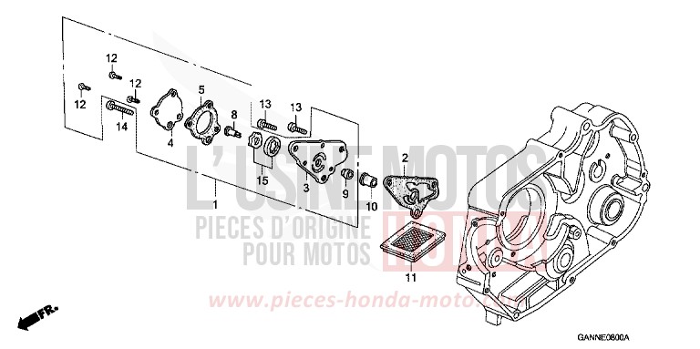 OIL PUMP for DAX CANDY SAPPHIRE BLUE (PB3) from 1994
