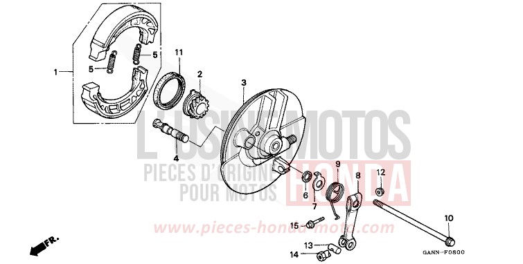 FRONT BRAKE PANEL for DAX BLACK (NH1) from 1992