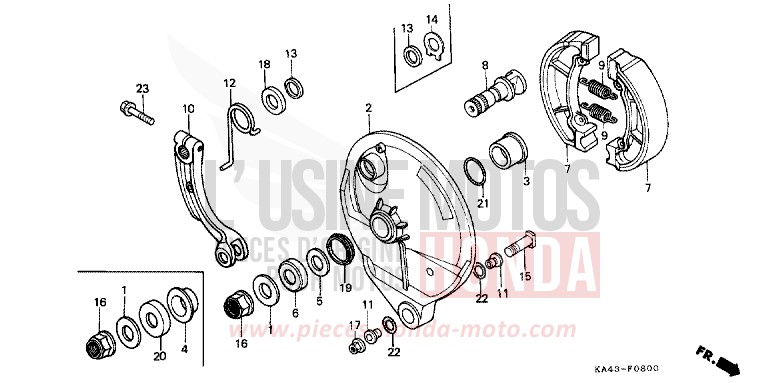 REAR BRAKE PANEL (1) for CR250R FLASH RED (R119) from 1984