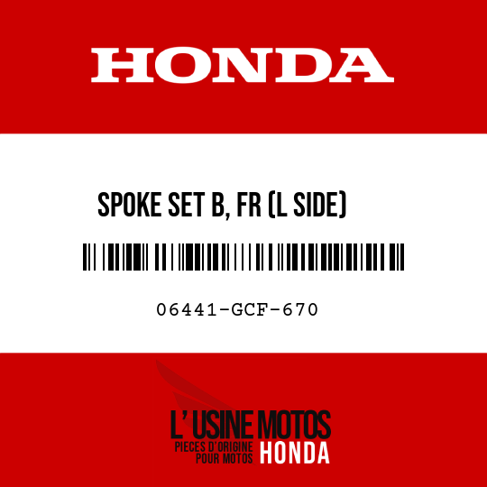 image de 06441-GCF-670 SPOKE SET B, FR (L SIDE)