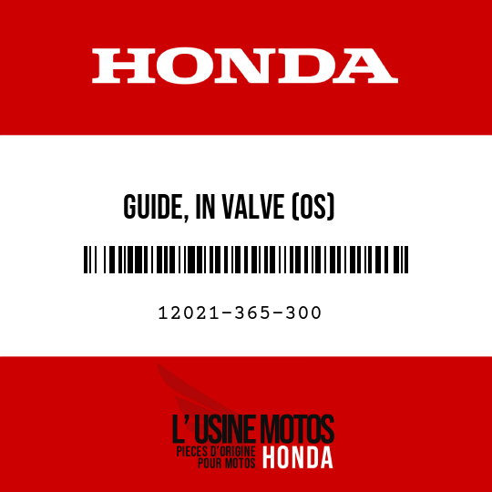 image de 12021-365-300 GUIDE, IN VALVE (OS)