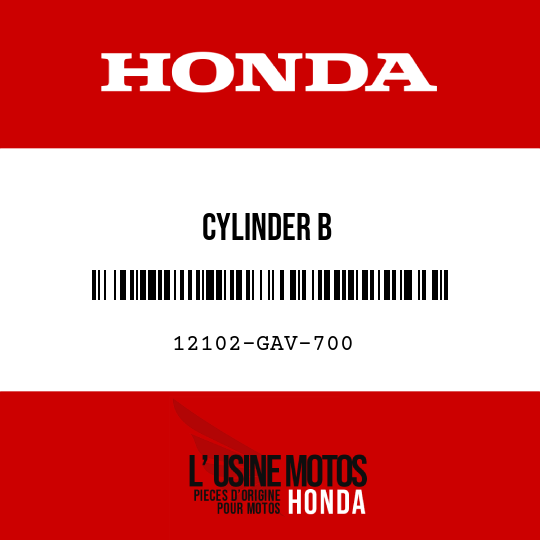 image de 12102-GAV-700 CYLINDER B