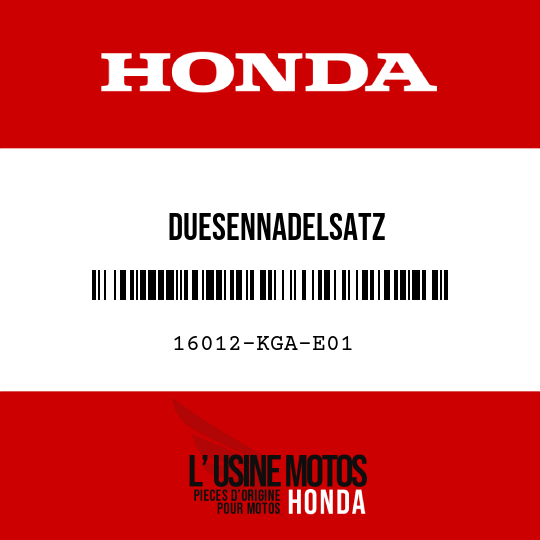 image de 16012-KGA-E01 DUESENNADELSATZ