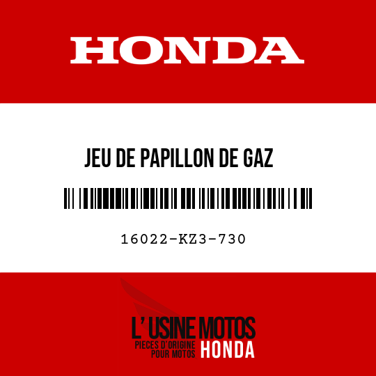 image de 16022-KZ3-730 JEU DE PAPILLON DE GAZ