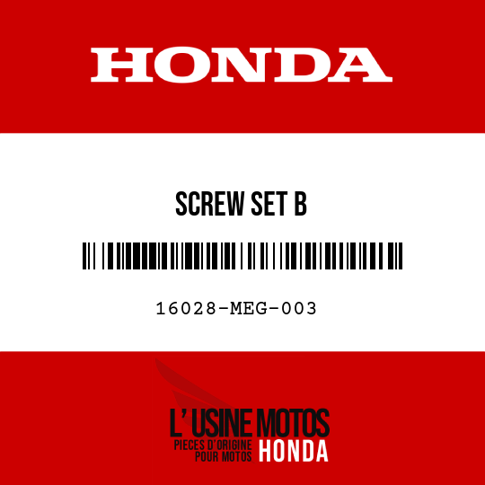 image de 16028-MEG-003 SCREW SET B