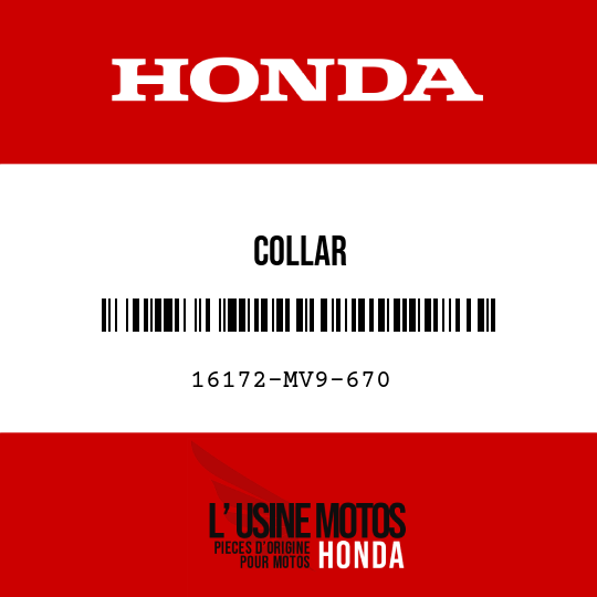 image de 16172-MV9-670 COLLAR