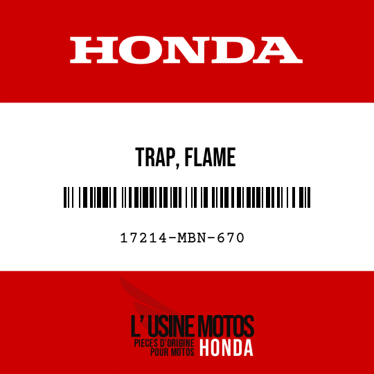 image de 17214-MBN-670 TRAP, FLAME