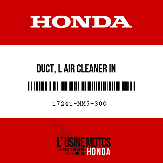 image de 17241-MM5-300 DUCT, L AIR CLEANER IN