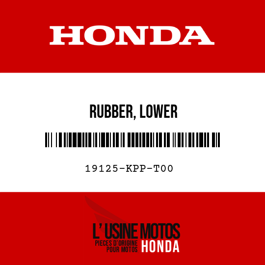 image de 19125-KPP-T00 RUBBER, LOWER