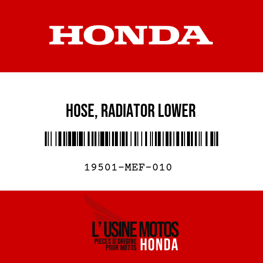 image de 19501-MEF-010 HOSE, RADIATOR LOWER
