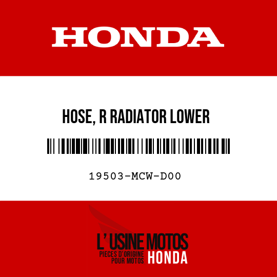 image de 19503-MCW-D00 HOSE, R RADIATOR LOWER