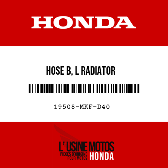 image de 19508-MKF-D40 HOSE B, L RADIATOR