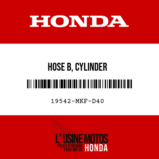 image de 19542-MKF-D40 HOSE B, CYLINDER