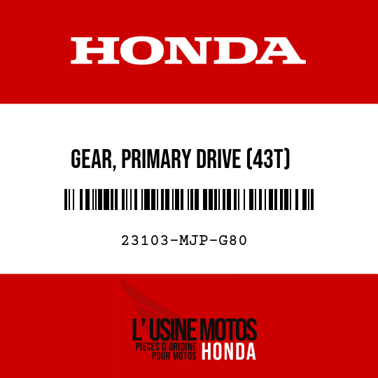 image de 23103-MJP-G80 GEAR, PRIMARY DRIVE (43T)