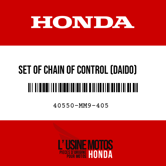 image de 40550-MM9-405 SET OF CHAIN OF CONTROL (DAIDO) (DID525V8-118LE)