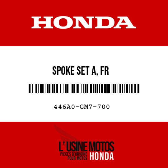 image de 446A0-GM7-700 SPOKE SET A, FR