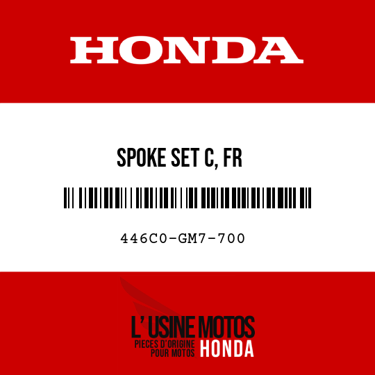 image de 446C0-GM7-700 SPOKE SET C, FR
