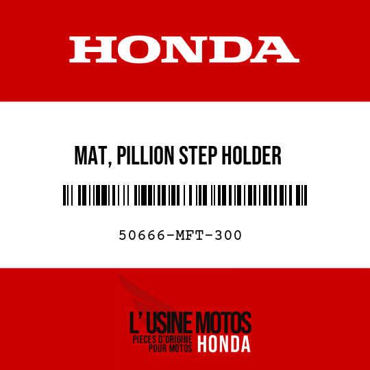 image de 50666-MFT-300 MAT, PILLION STEP HOLDER