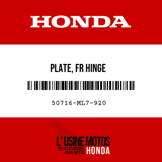 image de 50716-ML7-920 PLATE, FR HINGE