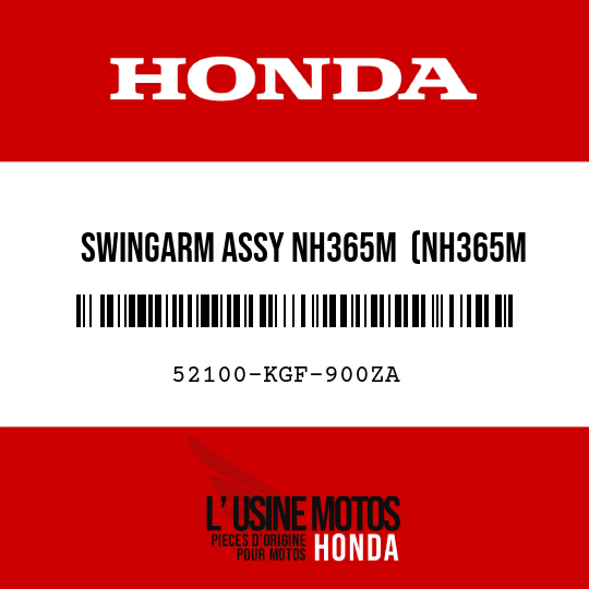 image de 52100-KGF-900ZA SWINGARM ASSY NH365M  (NH365M GENUINE SILVER METALLIC)