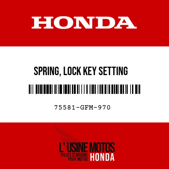 image de 75581-GFM-970 SPRING, LOCK KEY SETTING